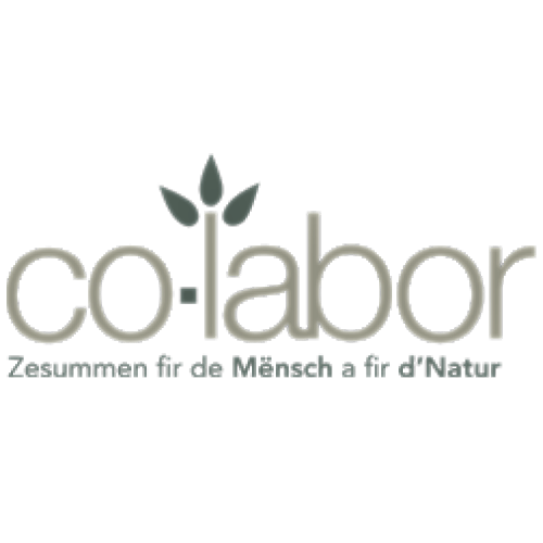 Co-labor : Brand Short Description Type Here.